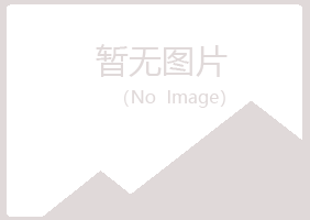 兴山区觅海房地产有限公司